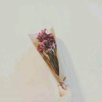 小马宝莉的家手机版下载